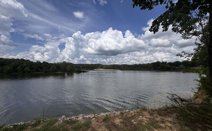 Pictures of Land property located at 2975 Col James Hardin dr., Clifton, TN 38425 for sales - image #1