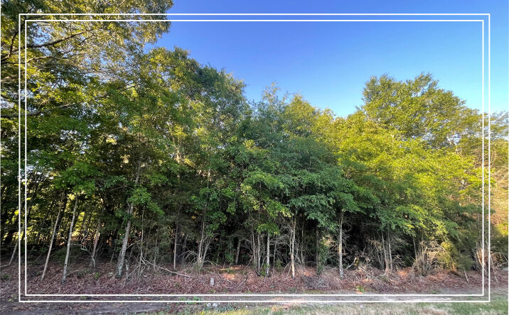 Lot 4 Biscayne Road, Aiken