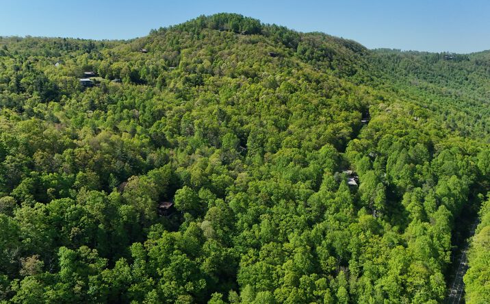 Pictures of Land property located at 0 Hess Drive, Laurel Park, NC 28739 for sales - image #1