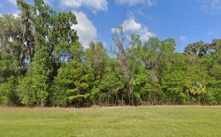 Pictures of Land property located at 13925 N Highway 27, Ocala, FL 34482 for sales - image #1