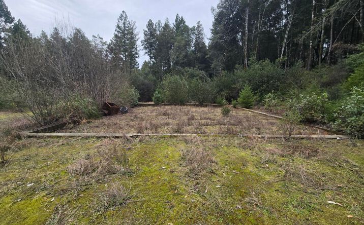 Pictures of Land property located at 6220 Rancho Sequoia Drive, Alderpoint, CA 95511 for sales - image #1