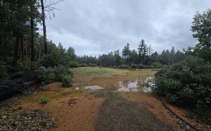 Pictures of Land property located at 0000 Madrone Road, Alderpoint, CA 95511 for sales - image #1