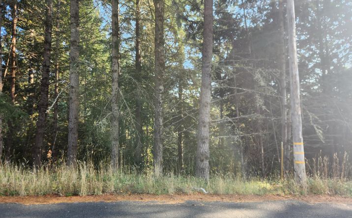 Pictures of Land property located at 768 Redwood Rd, Whitethorn, CA 95589 for sales - image #1
