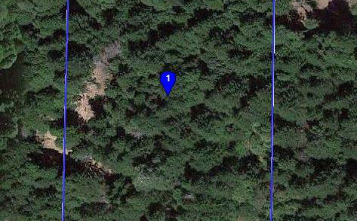 Pictures of Land property located at 840 Spring Road, Alderpoint, CA 95511 for sales - image #1