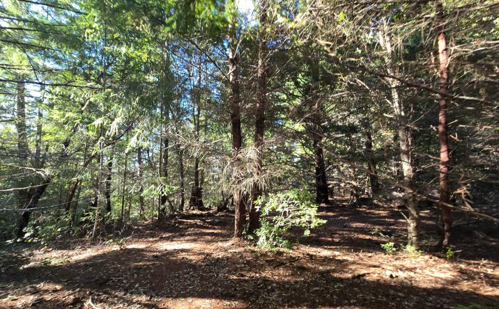 Pictures of Land property located at 00 Bell Spring R, Garberville, CA 95542 for sales - image #1