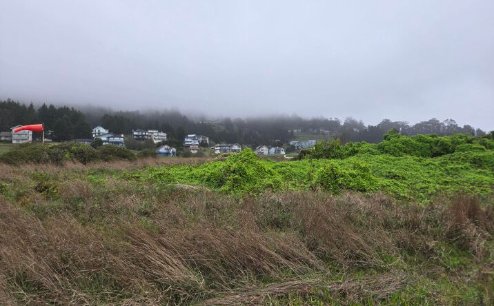 Pictures of Land property located at 75 Neptune Rd, Whitethorn, CA 95589 for sales - image #1
