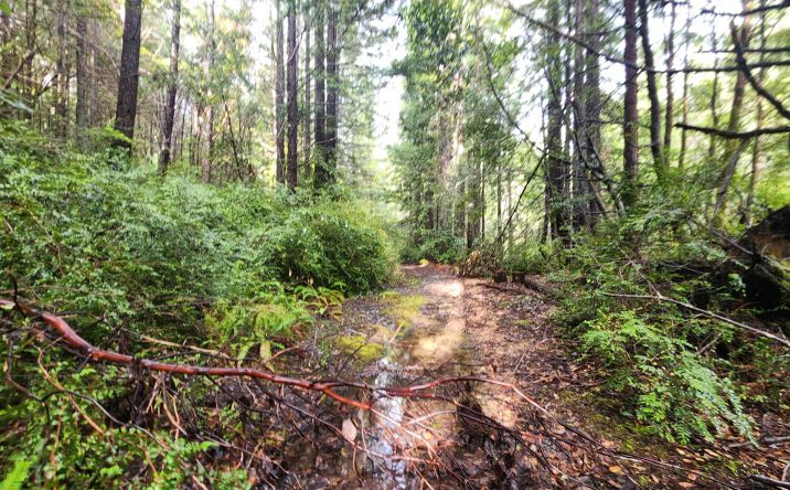 Pictures of Land property located at 78030 Moody Road, Piercy, CA 95587 for sales - image #1