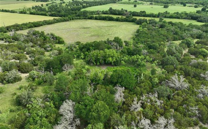 Pictures of Land property located at TBD FM 2905, Hamilton, TX 76531 for sales - image #1