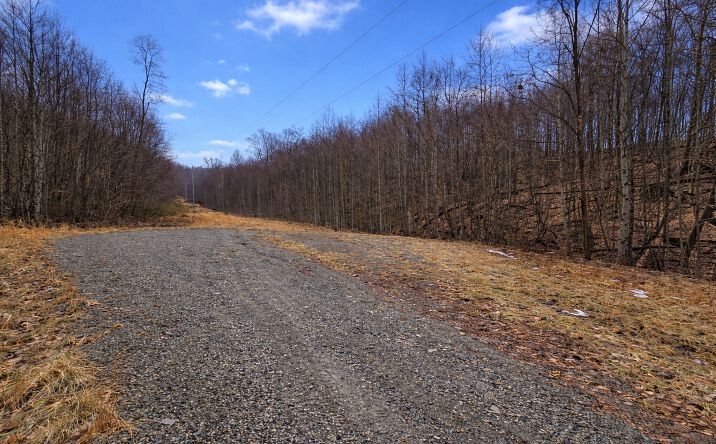 Pictures of Land property located at 2110 North Teter Creek Road, Philippi, WV 26416 for sales - image #1