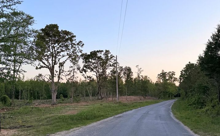 Pictures of Land property located at Haglersville Rd_Parcel 4_, Mansfield, TN 38236 for sales - image #1