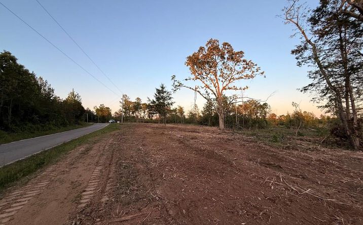 Pictures of Land property located at Haglersville Rd_Parcel 2_, Mansfield, TN 38236 for sales - image #1