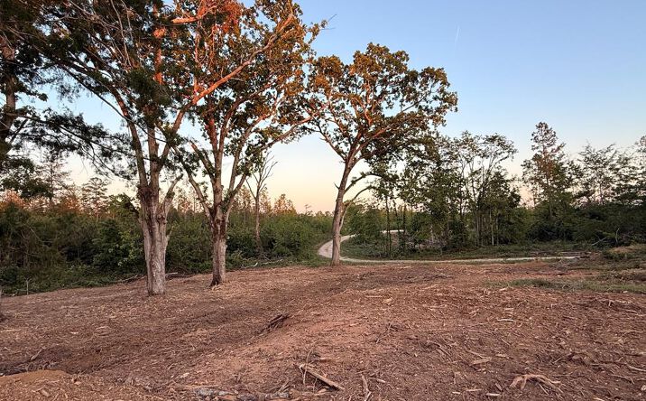 Pictures of Land property located at Haglersville Rd_Parcel 1_, Mansfield, TN 38236 for sales - image #1