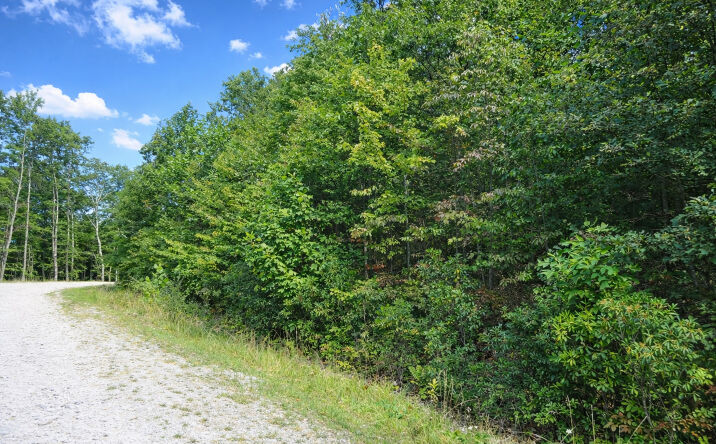 Pictures of Land property located at 3101 West Teter Creek Road, Belington, WV 26250 for sales - image #1