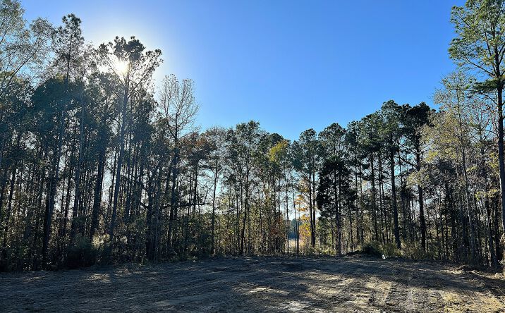 Pictures of Land property located at East Cotton Road, Eclectic, AL 36024 for sales - image #1