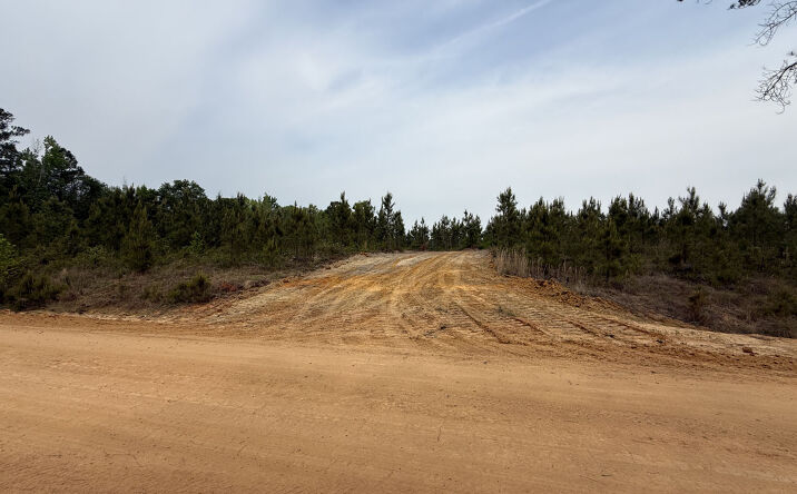 Pictures of Land property located at Snow Hill Church Road, Cadwell, GA 31009 for sales - image #1