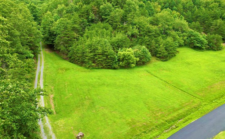 Pictures of Land property located at TBD Still House Hollow Road, Saltville, VA 24370 for sales - image #1