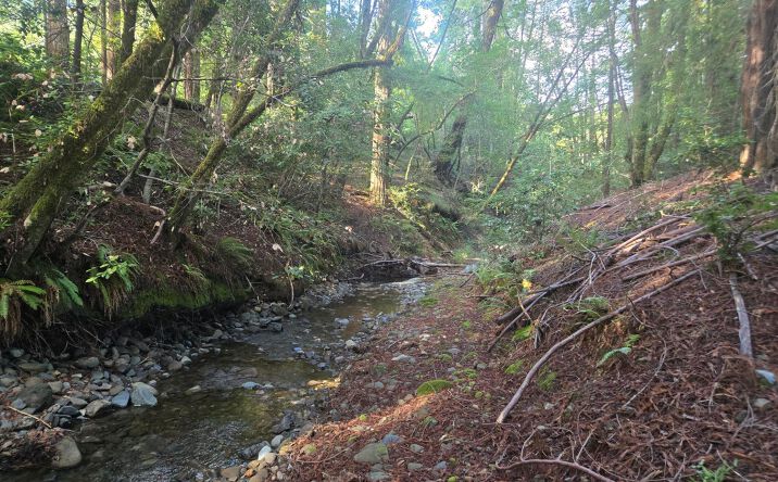 Pictures of Land property located at 1777 Sprowl Creek Road, Garberville, CA 95542 for sales - image #1