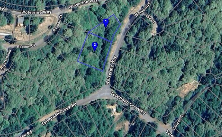 Pictures of Land property located at 00 & 000 Wolverine Way, Whitethorn, CA 95589 for sales - image #1