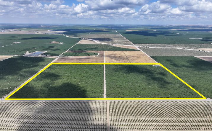 Pictures of Land property located at Kimberlina Rd & Wallace Rd, Shafter, CA 93250 for sales - image #1