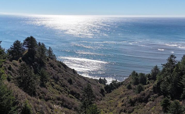 Pictures of Land property located at 141 E Cove Point, Whitethorn, CA 95589 for sales - image #1