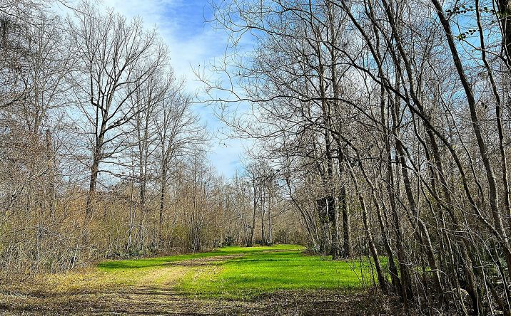 Pictures of Land property located at 0 Woodley Road, Montgomery, AL 36069 for sales - image #1