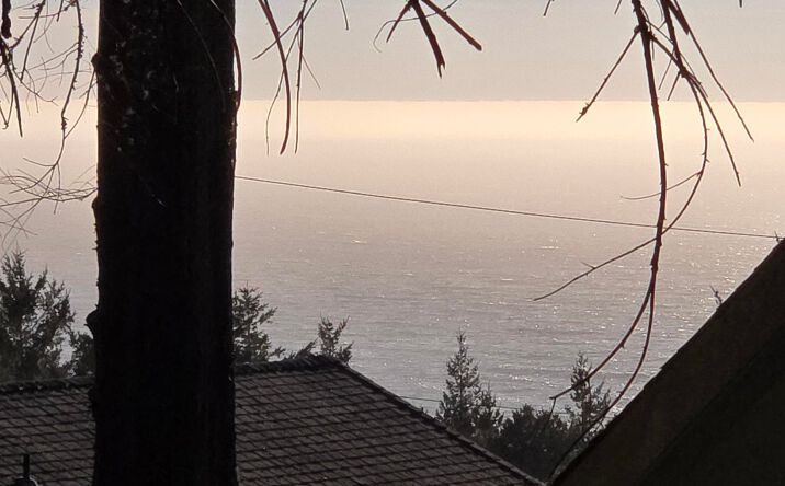 Pictures of Land property located at 90 Spur Ct, Whitethorn, CA 95589 for sales - image #1