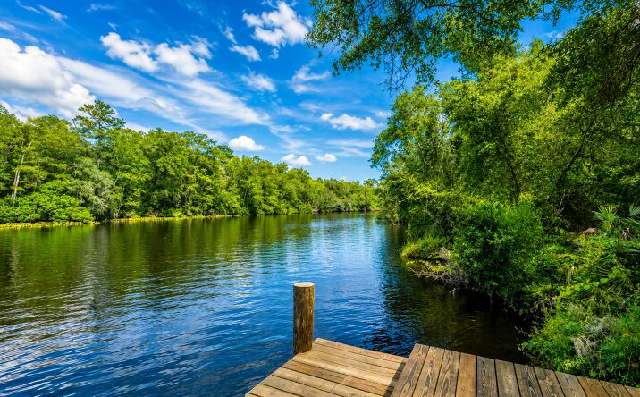 Pictures of Land property located at 2139 CHARTER POINTE WAY, MIDDLEBURG, FL 32068-9113 for sales - image #1