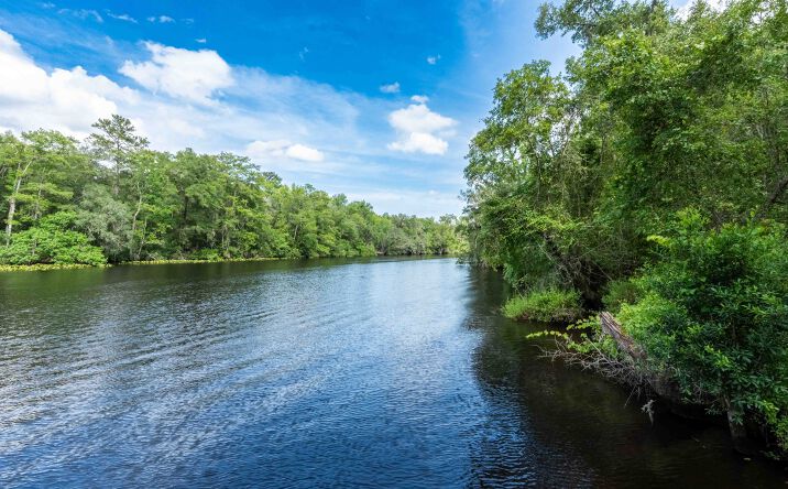 Pictures of Land property located at 2139 CHARTER POINTE WAY, MIDDLEBURG, FL 32068-9113 for sales - image #1