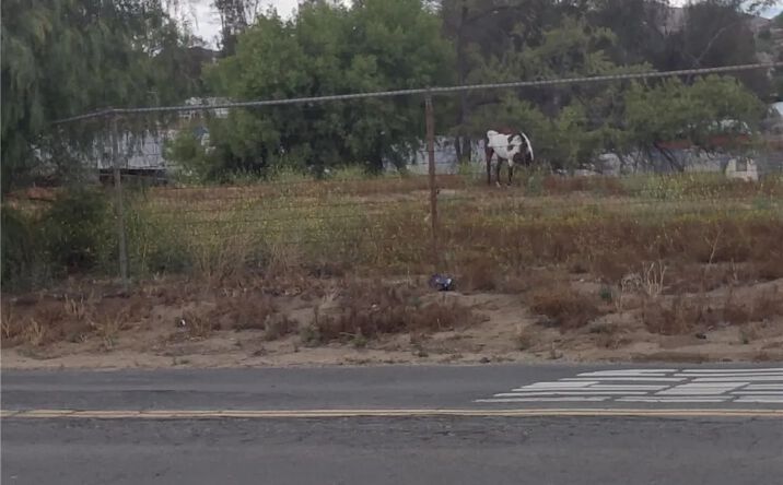 Pictures of Land property located at 5 Holland Rd, Menifee, CA 92584 for sales - image #1