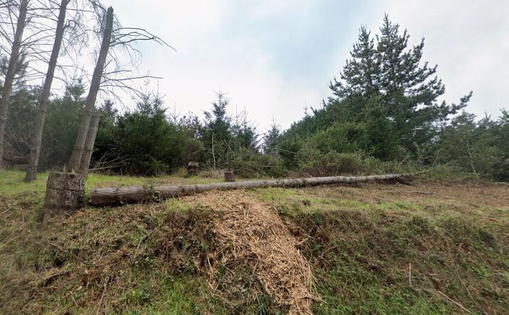 Pictures of Land property located at 184 Ridge Rd, Whitethorn, CA 95589 for sales - image #1