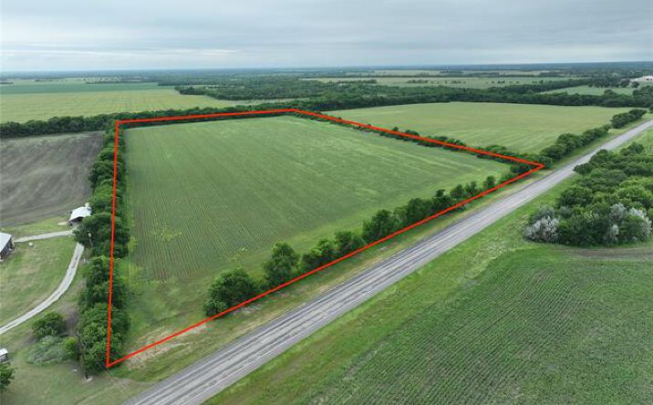 Pictures of Land property located at TBD HWY 56 Highway, Honey Grove, TX 75446 for sales - image #1