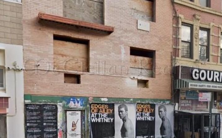Pictures of Mixed Use property located at 205 Henry St, New York, NY 10002 for sales - image #1