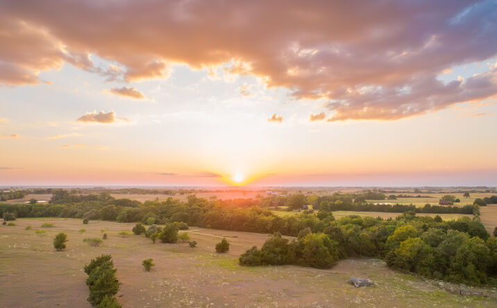Pictures of Land property located at 8525 FM 2754, BRENHAM, TX 77833-9010 for sales - image #1