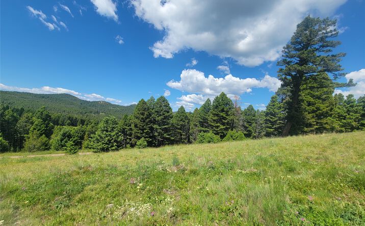 Pictures of Land property located at Lot 83 Hoover Creek Road, Helmville, MT 59843 for sales - image #1