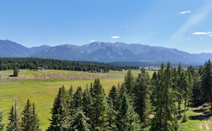 Pictures of Land property located at 340 Eagle Lake Loop, Fortine, MT 59918 for sales - image #1