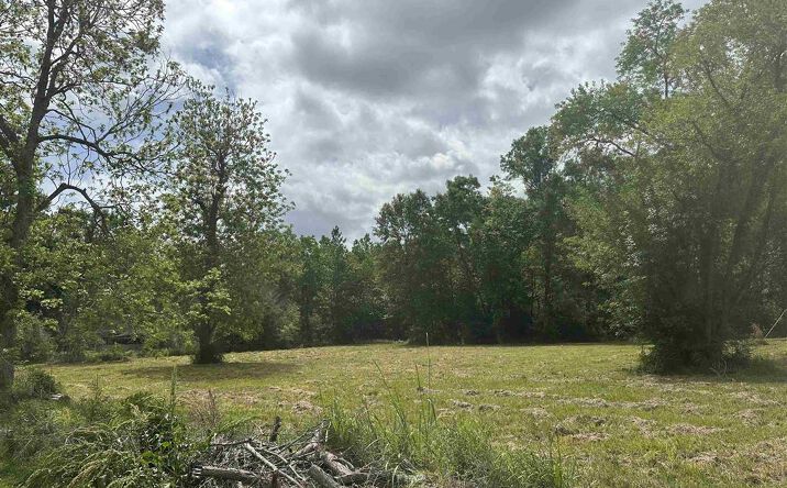 Pictures of Land property located at 714 Grand Avenue S, Dequincy, LA 70633 for sales - image #1