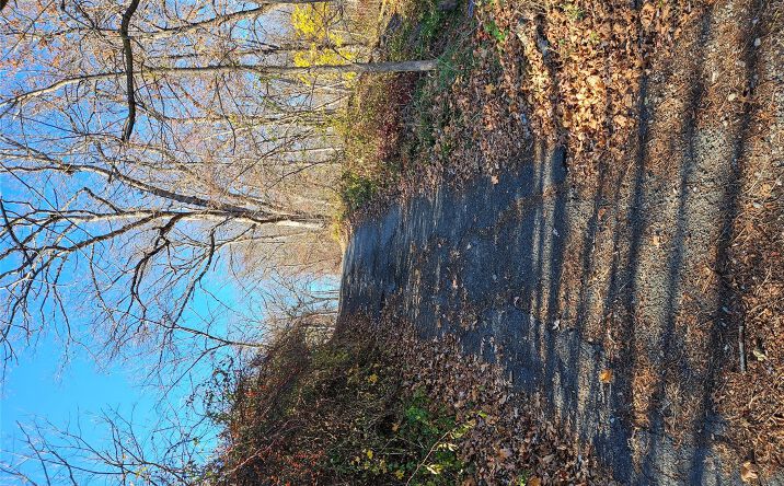 Pictures of Land, Multifamily property located at 35 Apple Street, Ramapo, NY 10974 for sales - image #1