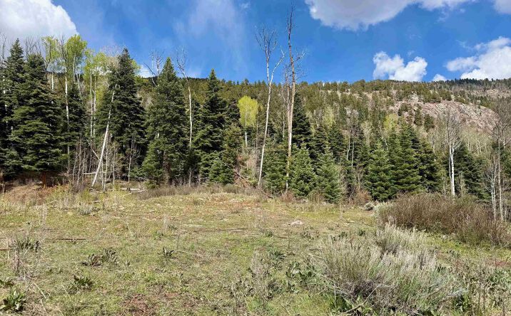 Pictures of Land property located at Aspen Bluff, Chama, NM 87520 for sales - image #1