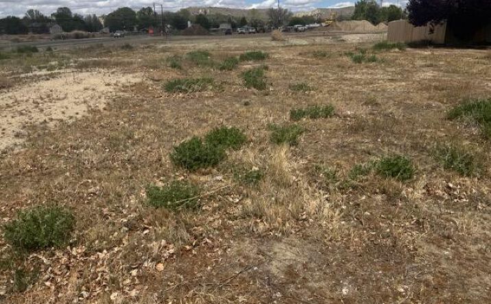 Pictures of Land, Multifamily property located at XX KITTELL Loop, Bloomfield, NM 87413 for sales - image #1