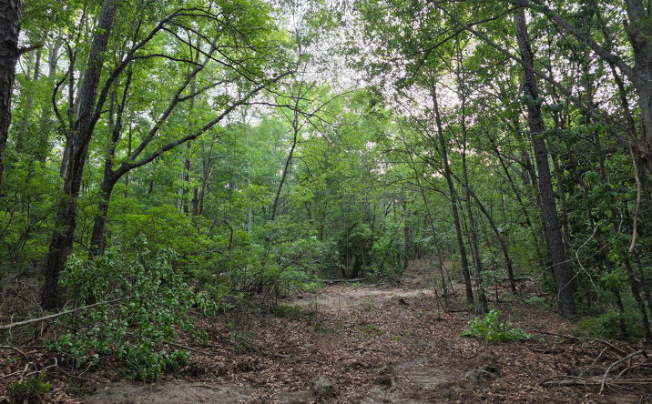Pictures of Land, Special Purpose property located at 7.5a Woodberry Road, North Augusta, SC 29841 for sales - image #1