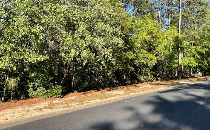 Pictures of Land property located at Lady Bank Lane, Aiken, SC 29803 for sales - image #1