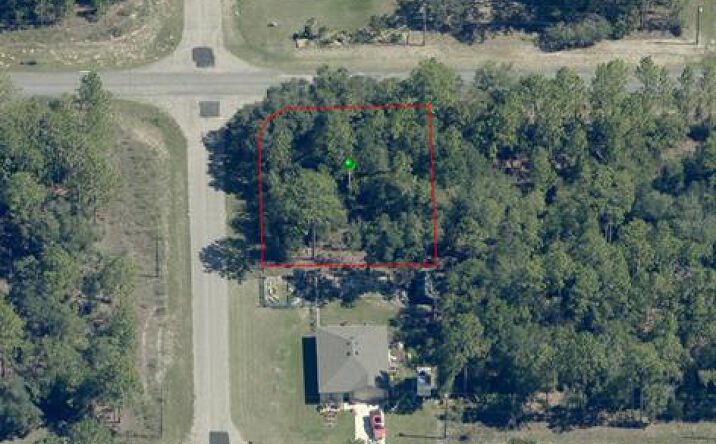 Pictures of Land property located at 326 West Homeway Loop, Citrus Springs, FL 34434 for sales - image #1