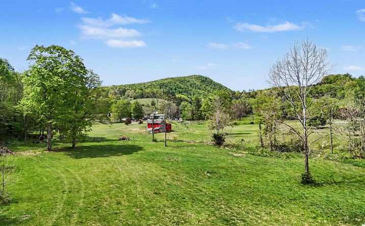 Pictures of Land, Multifamily property located at 9050 E Bluegrass Trail, Bland, VA 24315 for sales - image #1