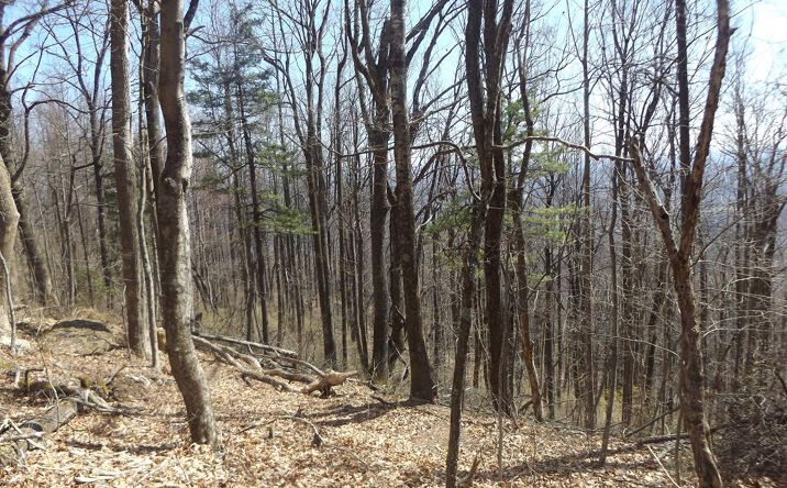 Pictures of Land, Multifamily property located at TBD Mountaineer Way, Fancy Gap, VA 24328 for sales - image #1