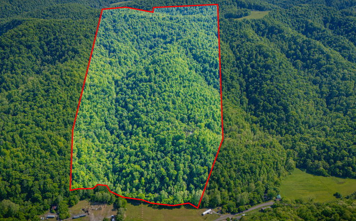 Pictures of Land property located at 527 FAIRVIEW RD, DUFFIELD, VA 24244-3541 for sales - image #1