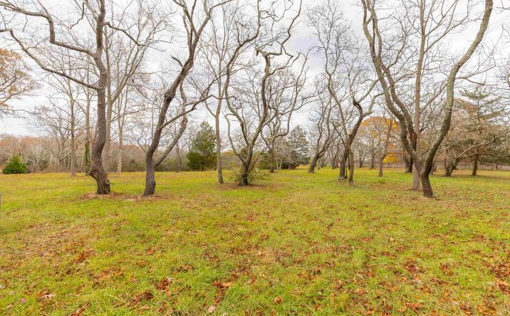Pictures of Land property located at 3941 Bayshore Road, Lower Township, NJ 08204 for sales - image #1