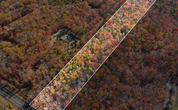 Pictures of Land property located at Rt 50 and Cedar, Hamilton Township, NJ 08330 for sales - image #1