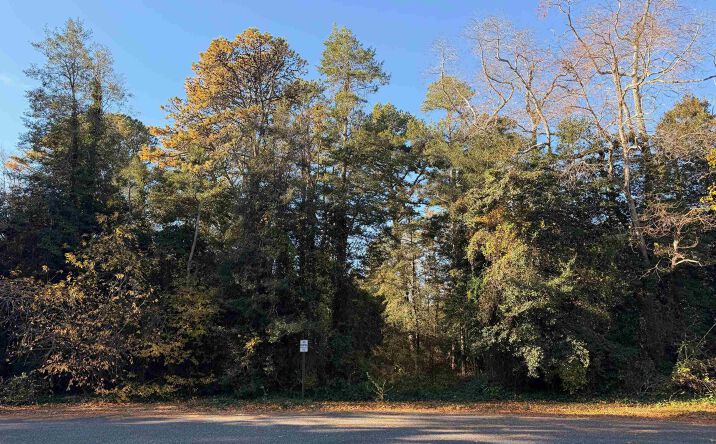 Pictures of Land property located at 24 E Timber Drive, Marmora, NJ 08223 for sales - image #1