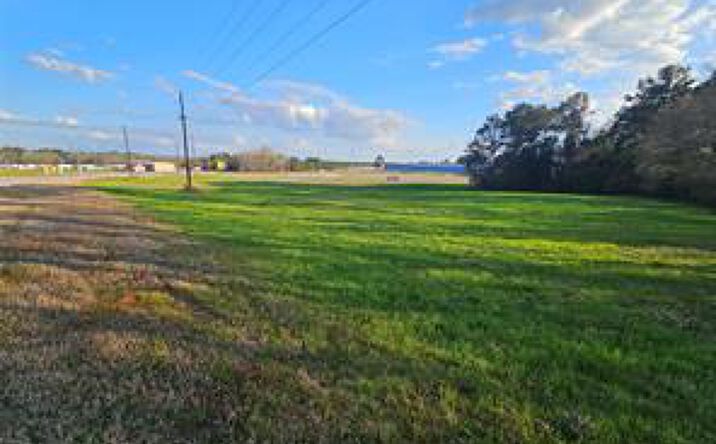 Pictures of Land property located at 0 Hickman Avenue, Elba, AL 36323 for sales - image #1