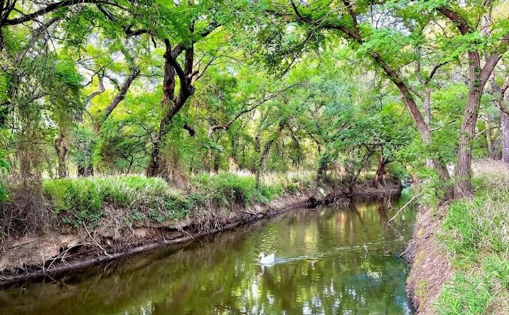 Pictures of Land property located at 7328 US-183, Early, TX 76802 for sales - image #1